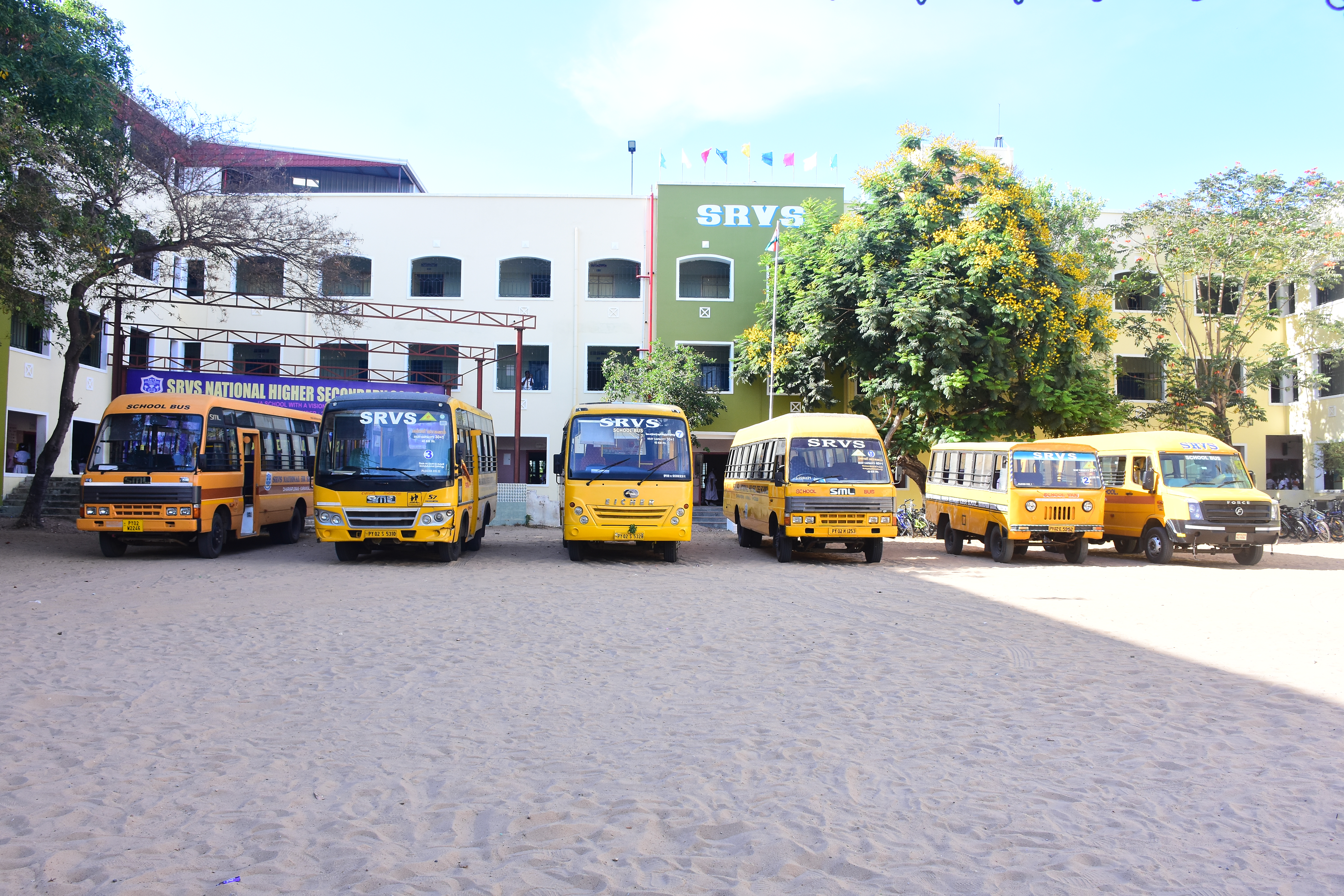 School Bus Transportation